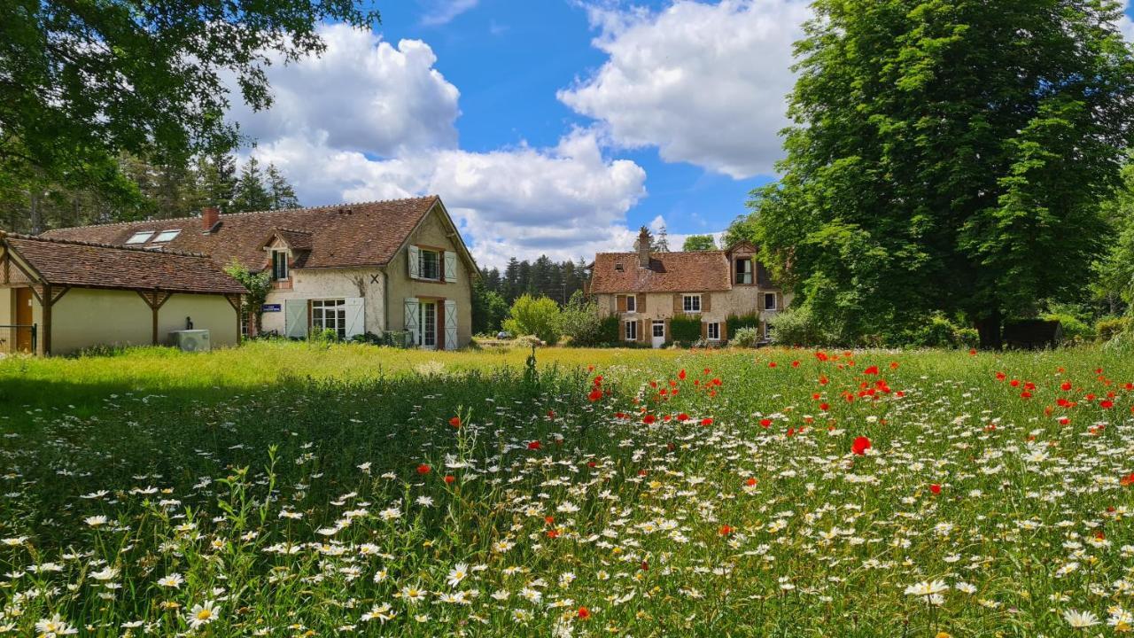 Chambres D'Hotes Le Moulin De Crouy Crouy-sur-Cosson Exterior photo